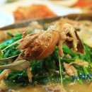 약수골오리 이미지