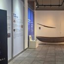 창녕비봉리패총전시관 이미지