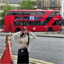 하시모토 칸나 카카오 검색결과