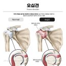 하이엔드 피트니스 이미지