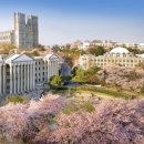 경희대학교 이미지