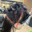 나는 우리집 미용사 이미지