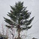 3원-天,地,人 이미지