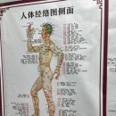 생체전기모든통증완화센터 이미지