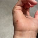 양평맑은피부과의원 이미지