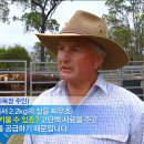 돈마블링 이미지