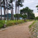 웅천친수공원 이미지