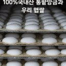 청담잔기지떡