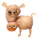 바로돼지 이미지