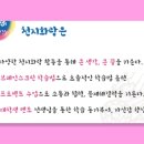 천지화
