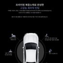 디자인칼트 | 포항 창포동 기아 K5 썬팅 재시공 | 칼트윈 KX 비반사 전면 35% 측후면 5% 열차단 썬팅 후기