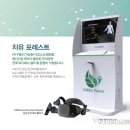 포레스트 이미지