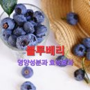 하나푸드 이미지
