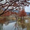 차마실산stay 이미지