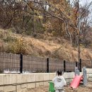 서영대학교 | 파주 옥돌캠핑장 A2 가을캠핑추천 11월첫째주방문