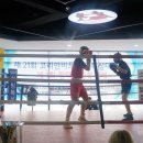 코리안 복싱센터 이미지