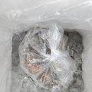 삼춘농산물 | (농라/농라에프)태안꽃게삼춘 참소라, 삐뚜리소라