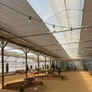 삼가1통 이미지