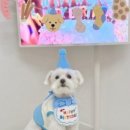 온펜션