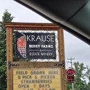 이기산농장 | [밴쿠버] 랭리에서 U-pick 할 수 있는 농장 Krause Berry Farms