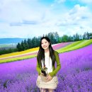 TJB 전국 탑10가요쇼 서주공주님 행사 및 서포터즈 모집 안내(7월1일) 이미지