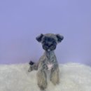 미니마니몽 이미지