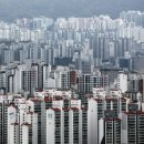 강남E편한공인중개사사무소 이미지