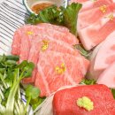 대진도원참치 강남역점 이미지