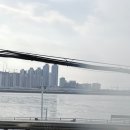 청담칼국수 | 오이도 해물폭탄 칼국수![본가 청담칼국수] 내돈내산 솔직후기