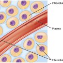 경희강추한의원 이미지