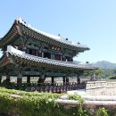 전라 병영성 축제 다녀온 후기
