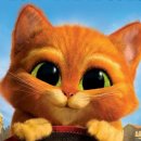 도원결의태권도 이미지