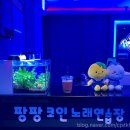 팡팡코인노래연습장 이미지