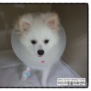 미드미동물병원 이미지