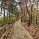 바람공원 화장실 이미지