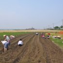 천연염색문화재단 이미지