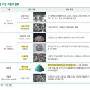 (주)토리컴 | [공유] LS주총 후기 및 주요 내용