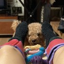 오동약국 이미지