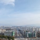 단구로2 뉴스1