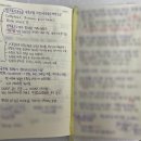 (주)더기프팅컴퍼니 | [취업] 🦊더핑크퐁컴퍼니🦈 인턴 지원 및 최종 합격 후기 (지원서, 포트폴리오, 면접, 시험 등)