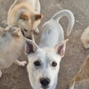 금순이농장 이미지