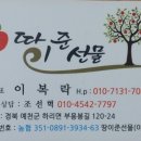 선혁농장 네이버블로그