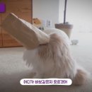 밥쟁이 이미지