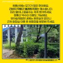 청룡산체육관 Daum카페