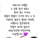 좋은날 - 화성시 | 좋은날