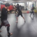 제천체육관야외 이미지