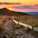 전효진의 <은빛 발레리나> 이미지