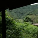 대붕초등학교 이미지