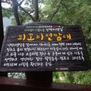 님프만 이미지