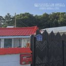 월오포레스트 이미지